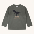 Dino Shirt für Kinder Hust & Claire