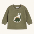 Dinoshirt
