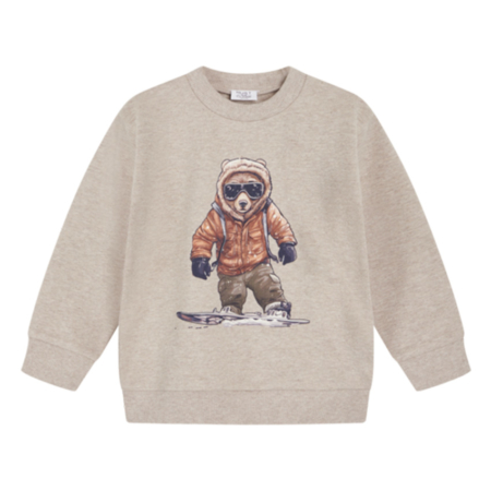 Süßer Pullover mit Bärenmotiv auf Skateboard, perfekt für Kinder. Weiches Material, ideal für kühle Tage.